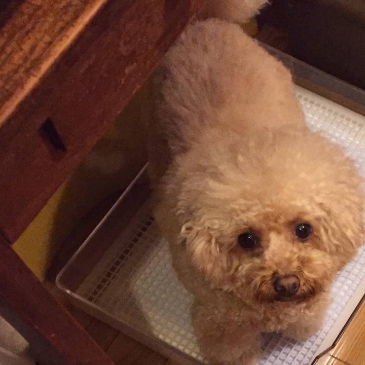 486b1e6c 65f5 49ae 9ea1 2a6c01bbbc83