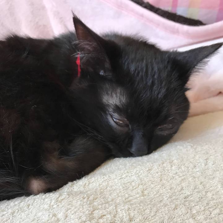 486bd659 dbc5 4dbf 9153 268ebf63366c