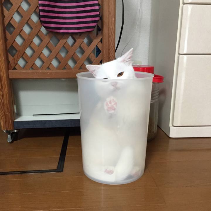 486c14ac cfc3 40d0 8cb5 fd906ef97ef5