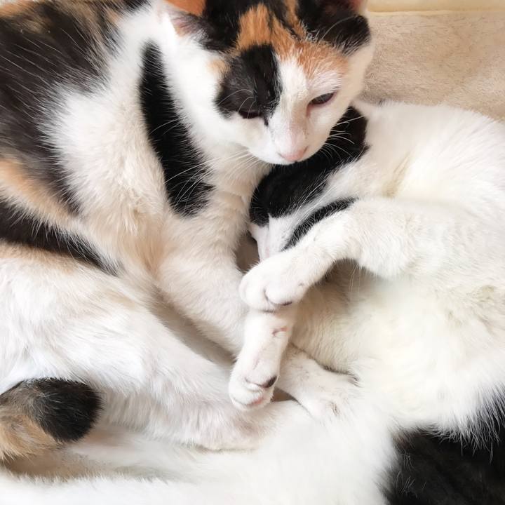 486c23be 08dc 4874 8f00 64eae639a0d2