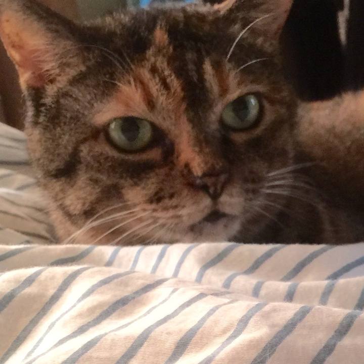 486c502b 17db 40cb 83a7 b65e33d8f248