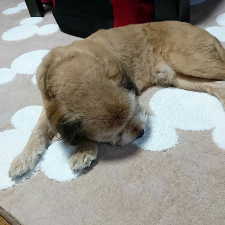 486c7a7d 40c5 48b0 a7b9 5eea982177e2