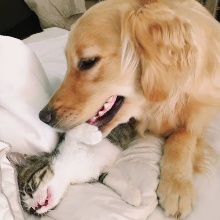 486ccf1d 8e62 4073 bc7c ed1a297928be