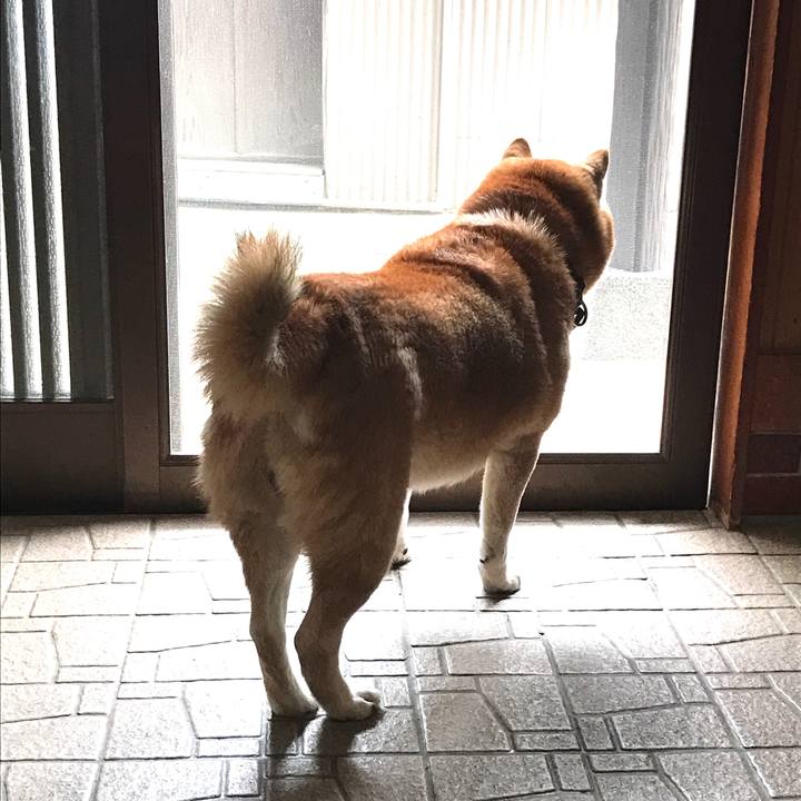 486d2fe6 58e4 4144 9da9 b8a972b833fc