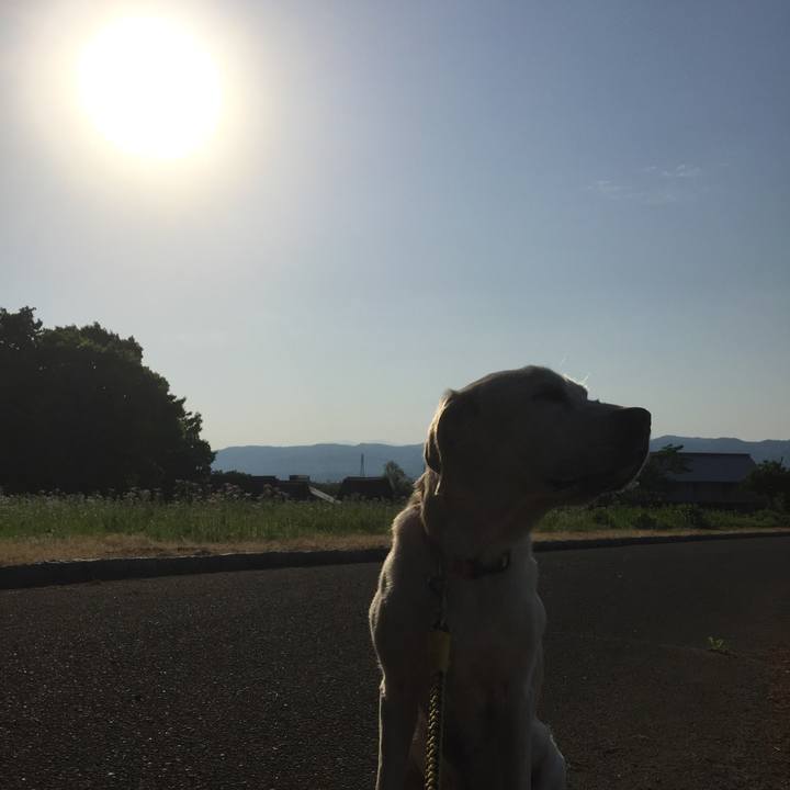 486d5021 69d0 4c7a a4b3 ef09fb26a1ca