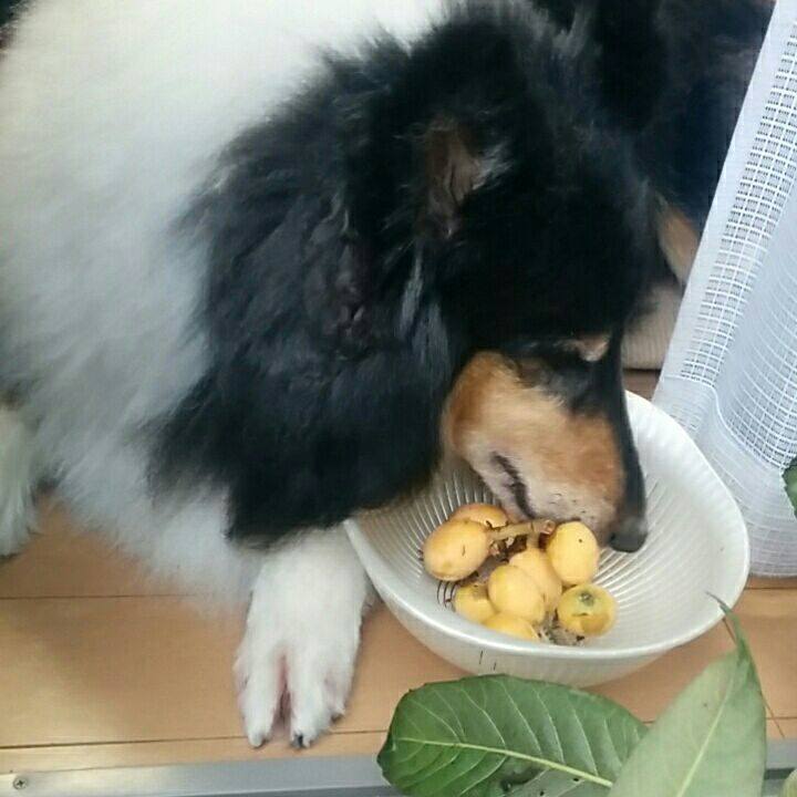 486dbbd8 17b7 45c9 b2c2 fd0275cf98da