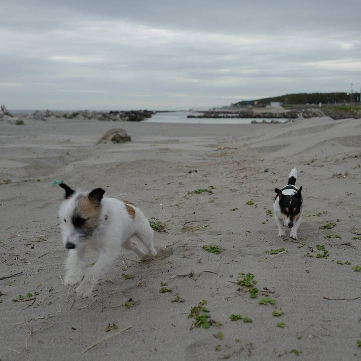 486ddfef 1191 413b aace 593ca7884c9c