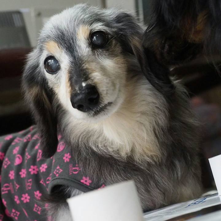 486e510b 8e78 4994 8ebd cdcdfb1eab5e