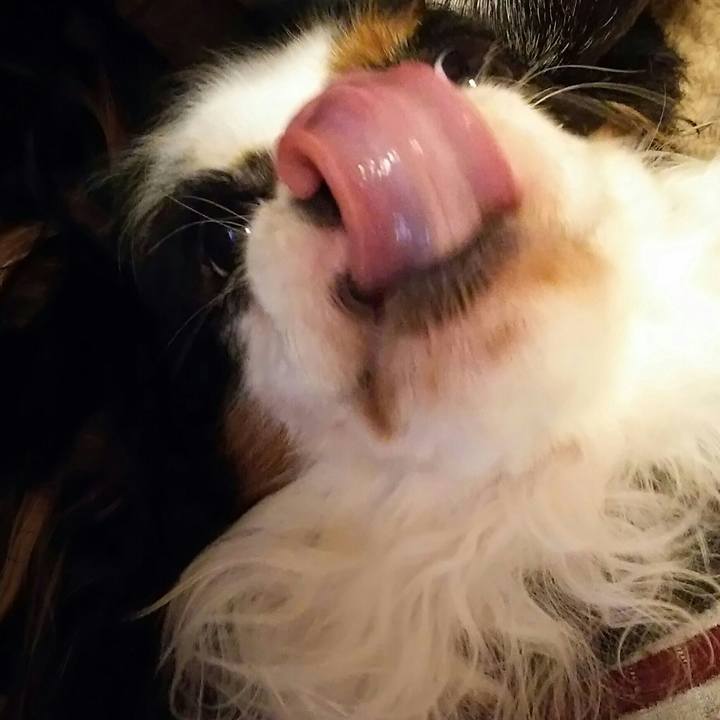 486e72cb 5921 4366 a4b2 9fff3033e98e