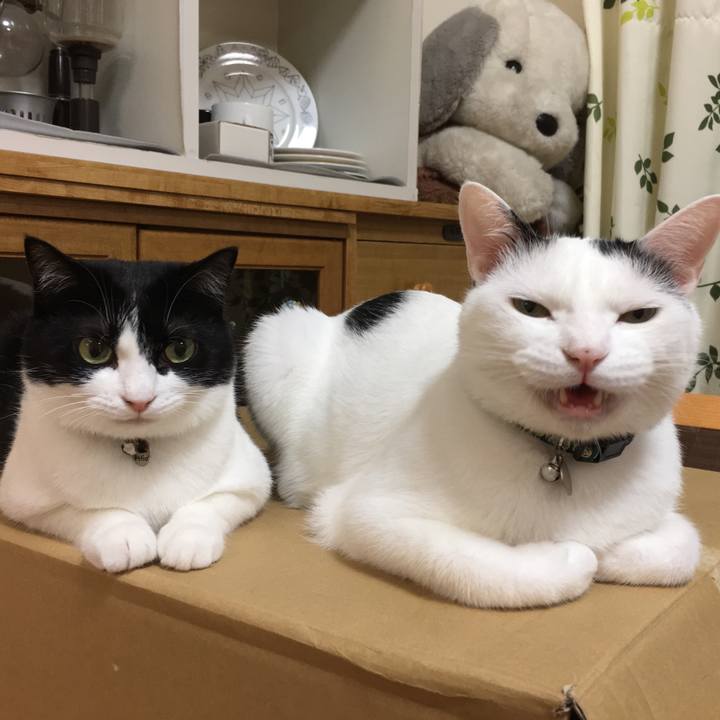 486ea211 0897 4615 8d38 13c482439e2d