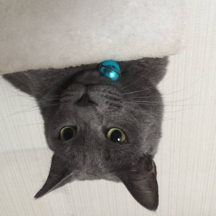 486ed02a cc3c 47bf bf1e 433d76676337