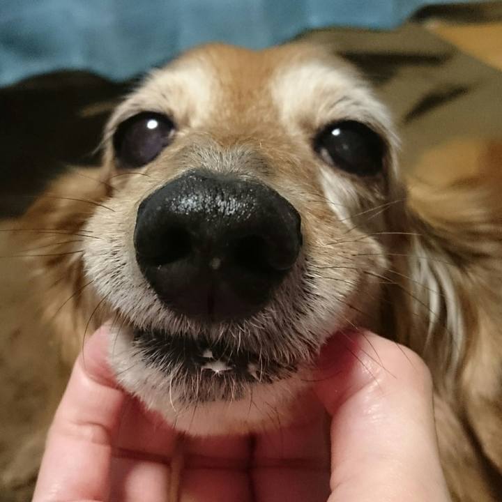 486f0187 1900 4ec4 8a26 9b7ca460e09f