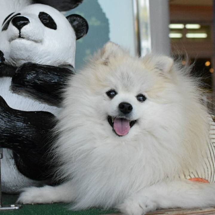 486f67b2 0fdd 4b14 826b 5e9cb35517e8