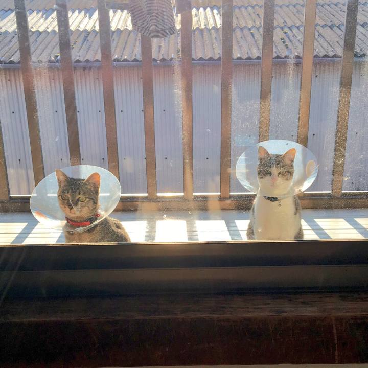 48704384 576f 4757 82ec a5f21e456d3b