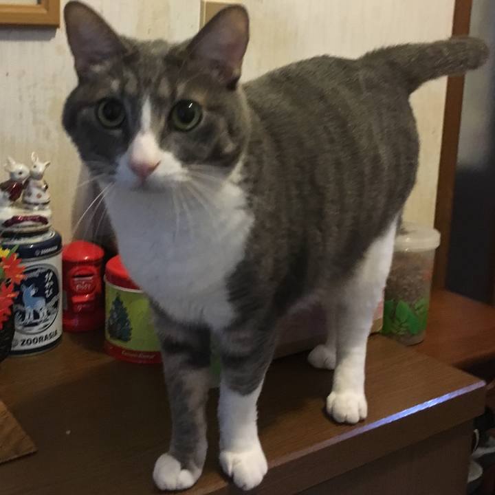 4870642a f941 4413 b95f 1665d1f41005