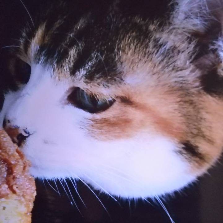 487084ea 81cc 4948 bb5e 94ee28acdfc7