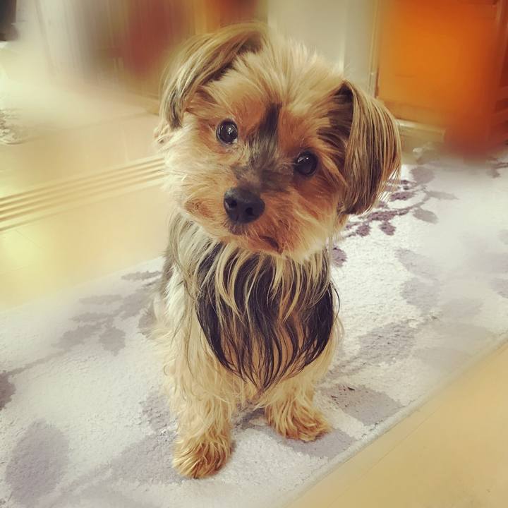 4870975c 26eb 481f 99de 9dd88b808dd6