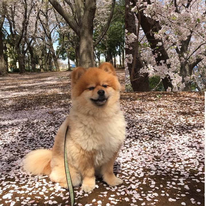 4870d5a0 215a 4775 ac80 71921b95f22e