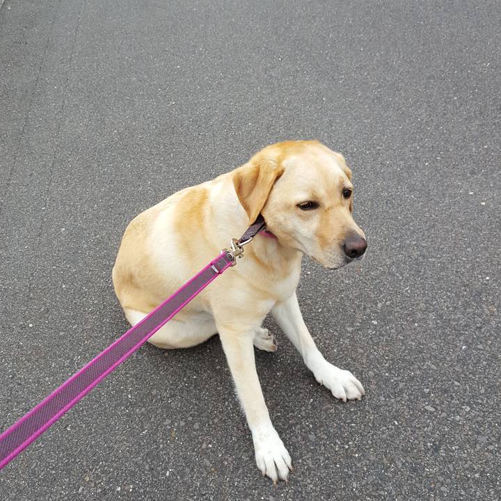 48711f93 d6d4 4ca9 91bd f48305b81d63