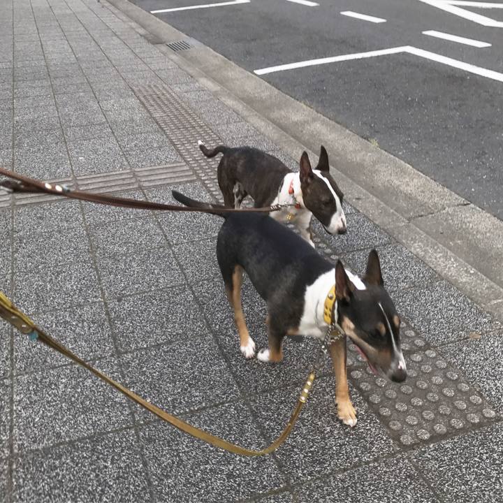 48719fa5 aaad 4e6e 8511 df5cabffcbeb