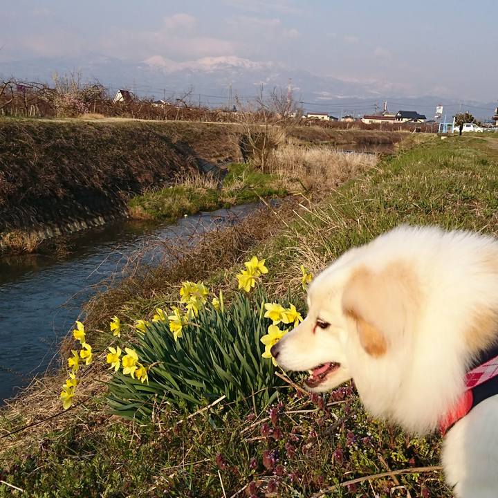 487221d6 42b6 4f54 86d1 24e9dcca2e38