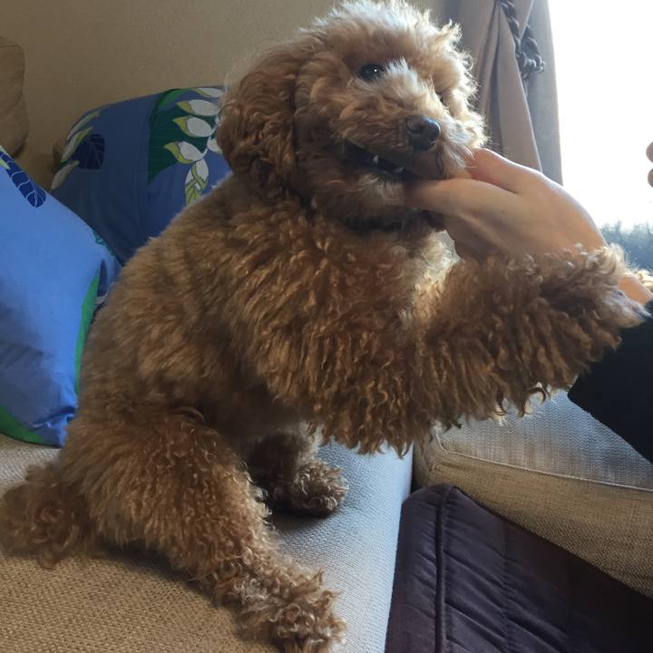 48732706 3cdc 4b7b 8c35 55de359d54b7