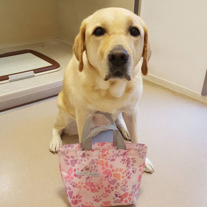 48746664 6e2a 433a 864f 59b6e9b556d8