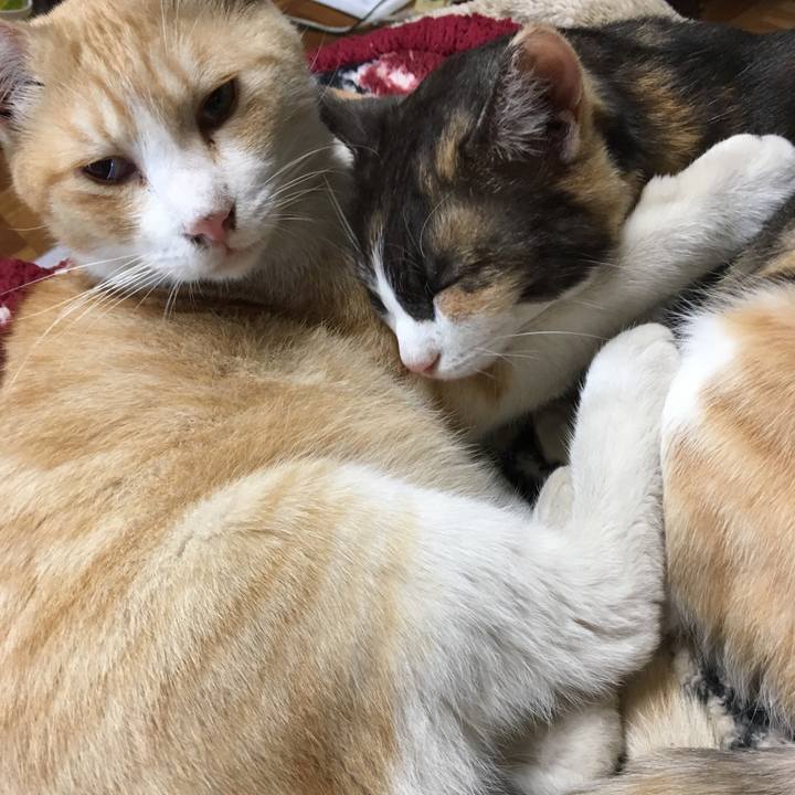 48752da2 afa3 402e 910f 2f37c0238380