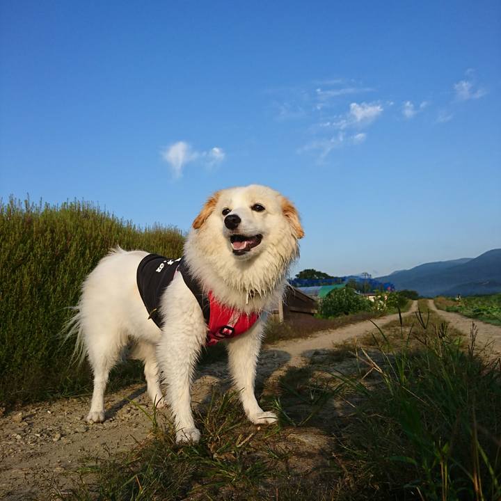 4875ae83 c3e2 4a2a bff1 4635c1adb0fb