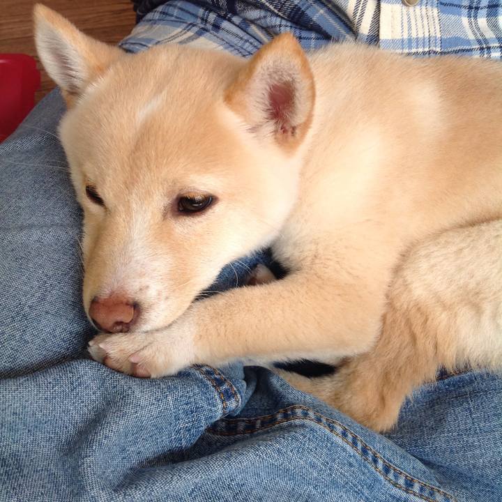 48762064 4121 4405 9e5f 963e55310692