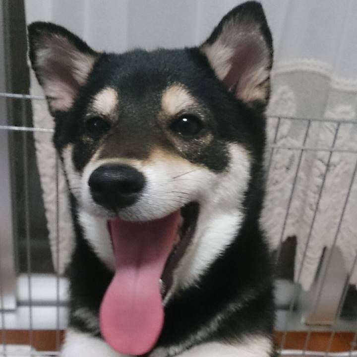 4876420d 0905 4d80 a250 fc13e1edeb39