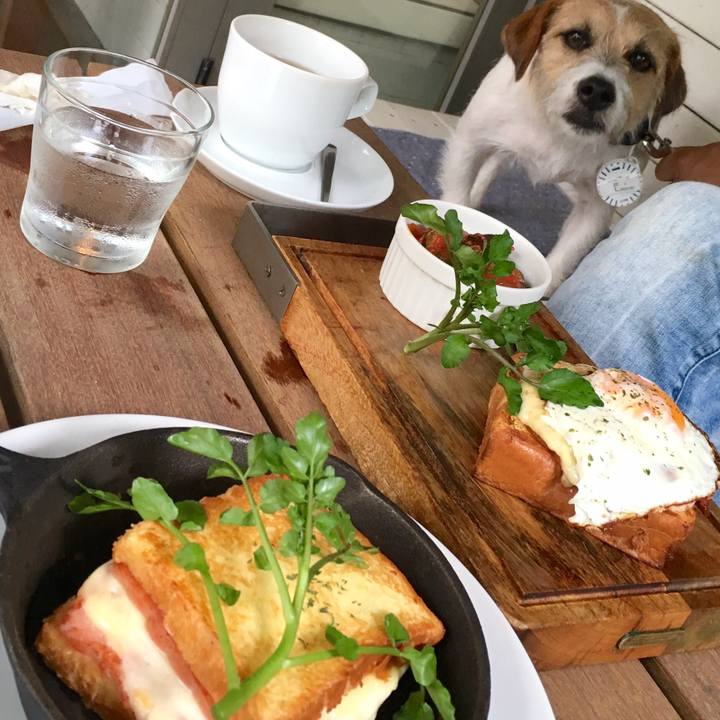 48766fab 39e3 45c1 9def d79f71888689