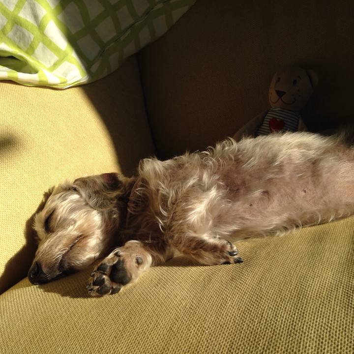 48767c6a 6083 4e28 9405 8080b4916dfe