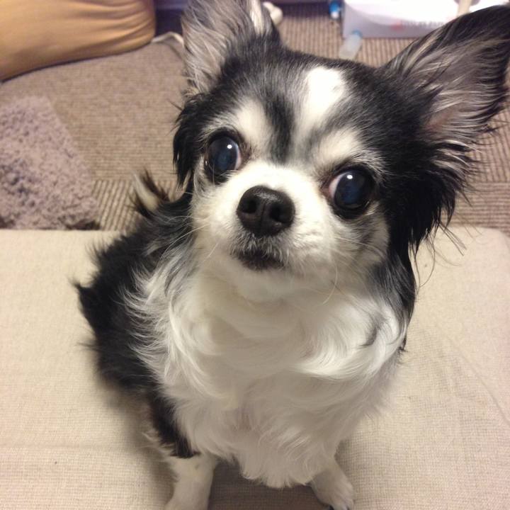 48774ab6 971b 452b b6e3 48acf037f45b