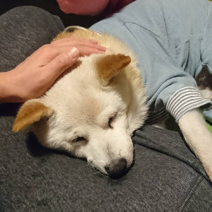 48782f2f 812a 4726 8fef c20e9a0b4e10