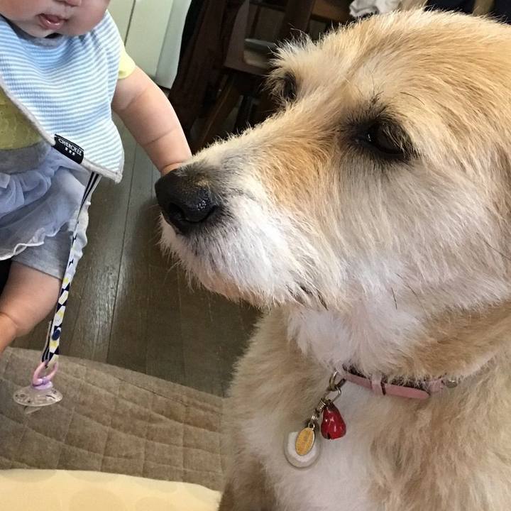 4878319c 4f06 44f0 a298 a87810c57029