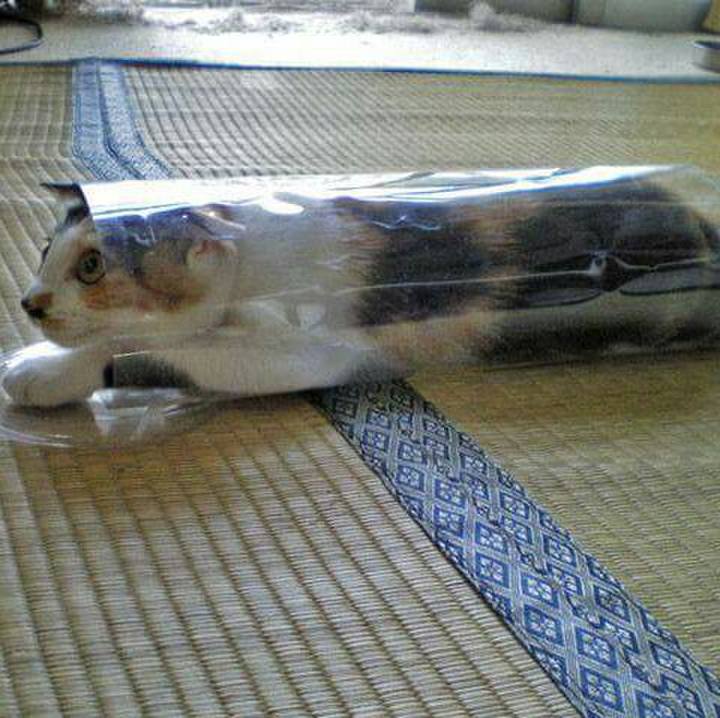 48786b35 e282 4ac3 8ca8 5e9dd9d9d5db