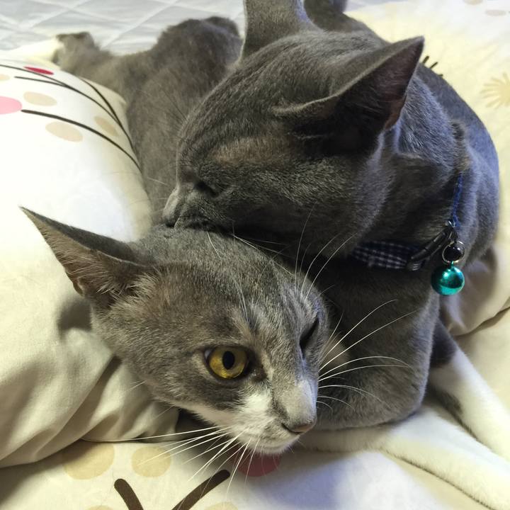 4879d9f7 9de4 4612 882d f40272b47ac2