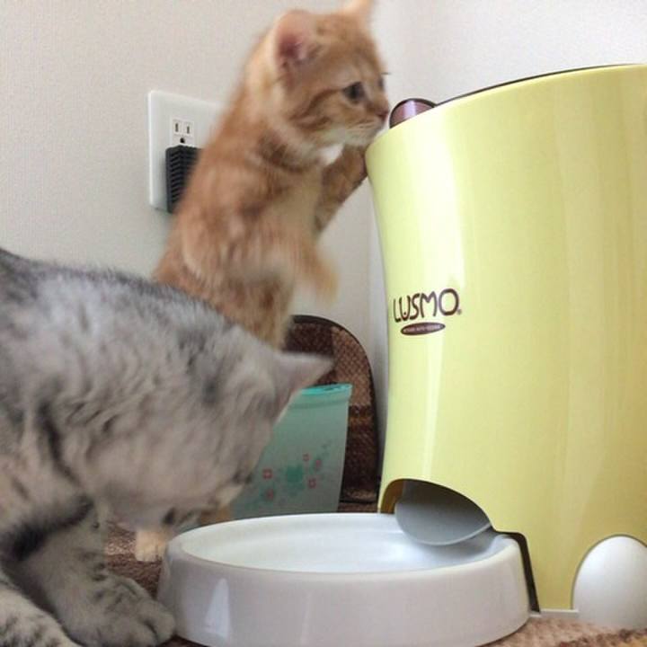 487a01e0 57e8 4f01 9454 a06d644d2418