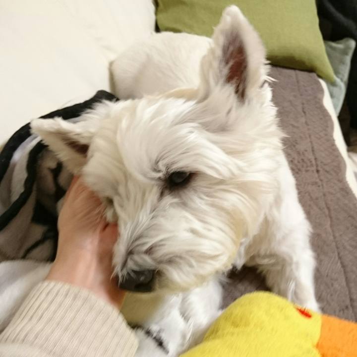 487af9d1 7665 44fb 9a7b bdf433ac896d