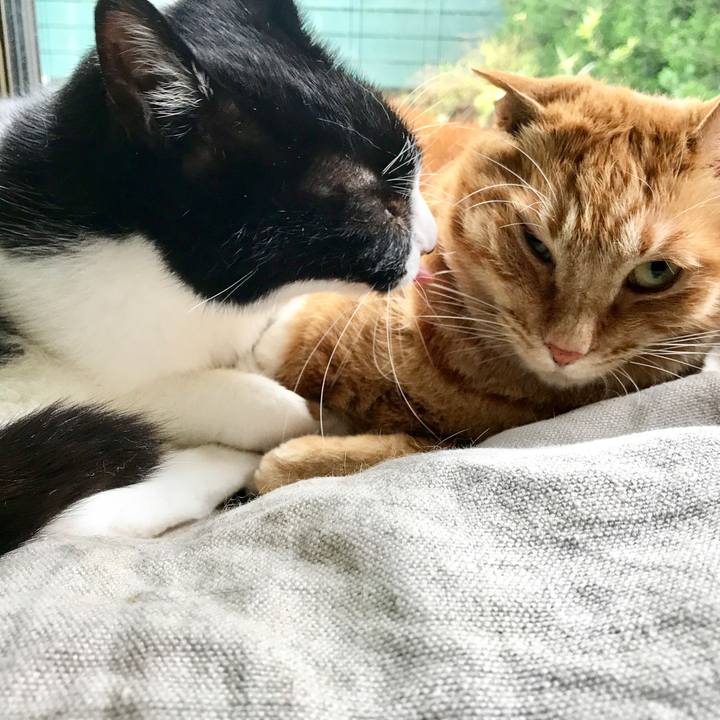 487b59f1 fd11 4dcc bbda 68df1cec6d77