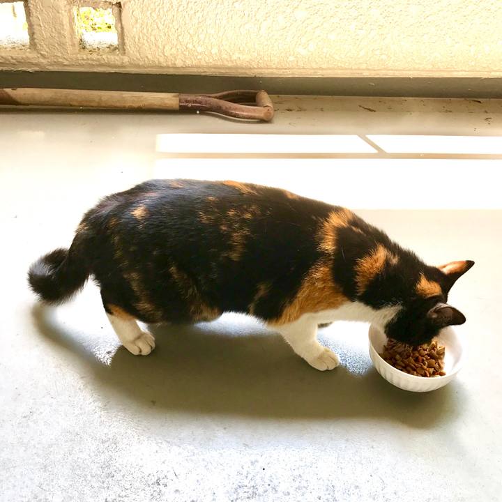 487b7346 40f2 4987 9b5a f4d792c7800b