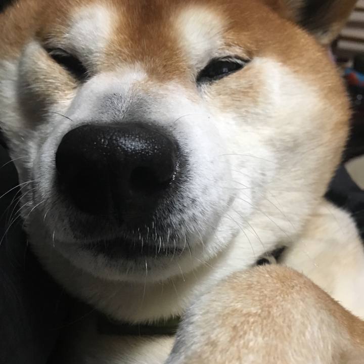 487bafbf be4b 4c4c 830f eae7aefc00d2