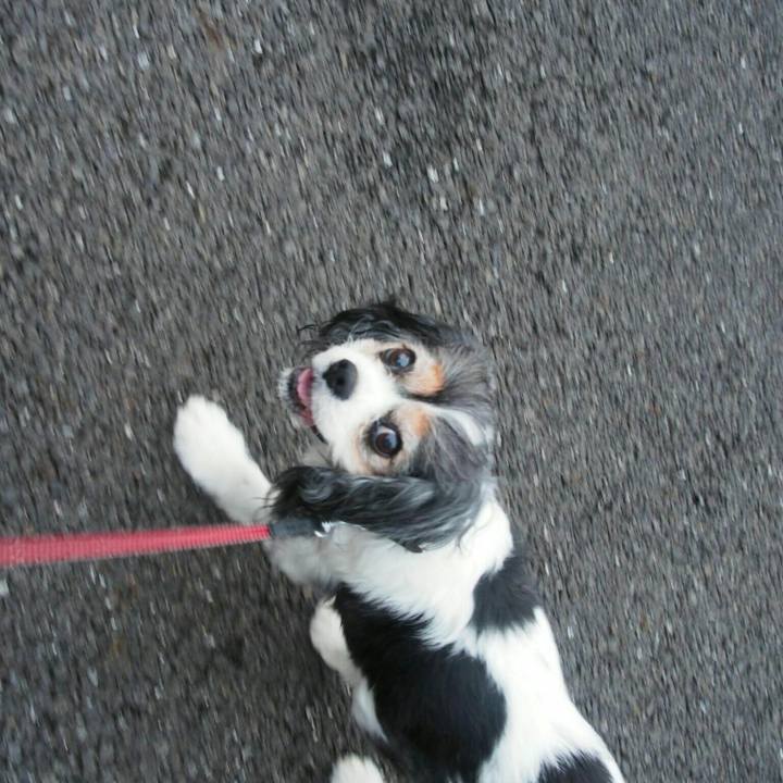 487c307f 105a 44fd 8919 6782977dd235