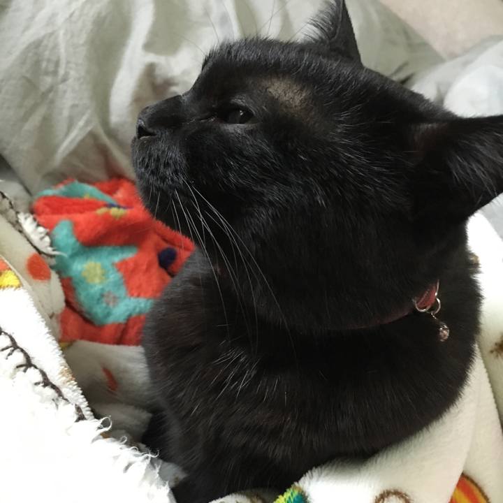 487d8792 149c 4352 8994 e0d31cec2848