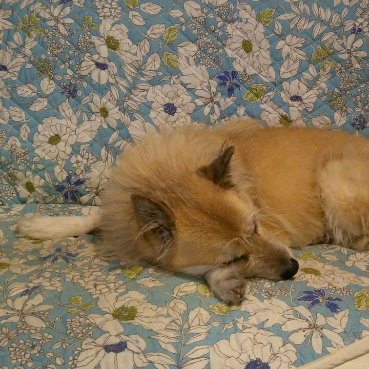 487dceb9 1ea1 4e8c a495 69cb9112c91a