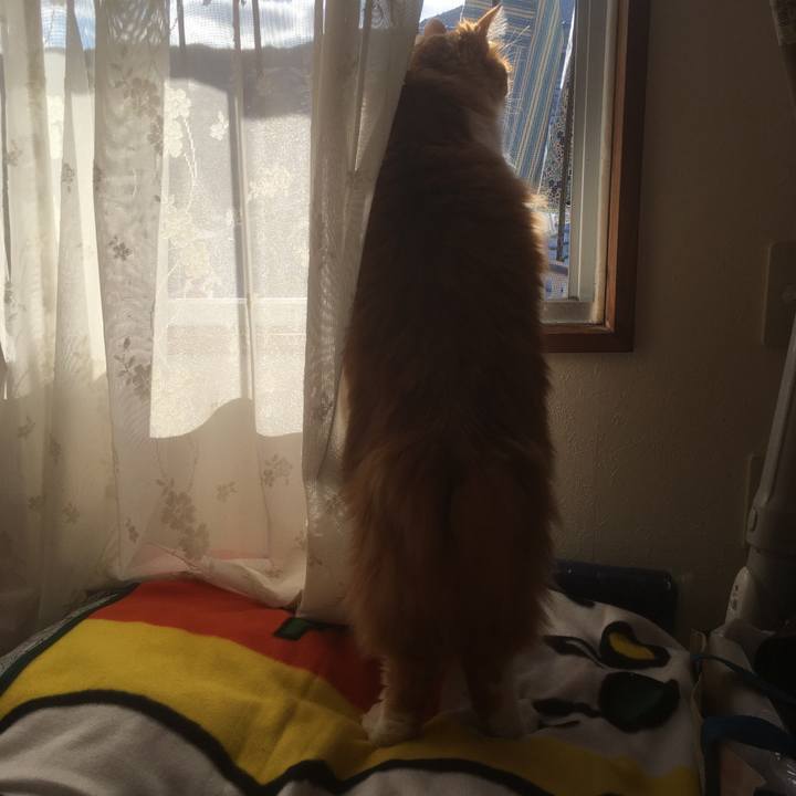 487df276 4c3e 40c6 b902 b4e311f3ebfb