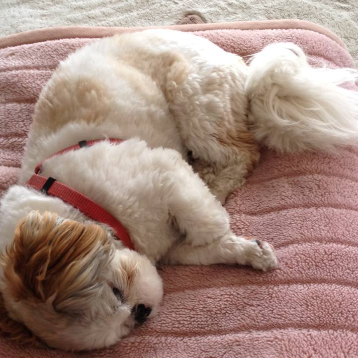 487e2764 a727 457b af0c faf5410ec769