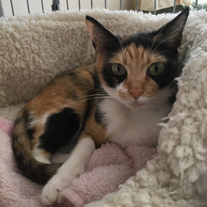 487e765f b443 4932 bdcc a66a3856920b