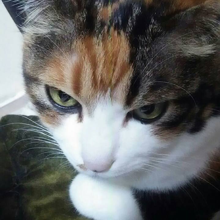 487eb66e 38cb 4169 bdb3 d915971bd928